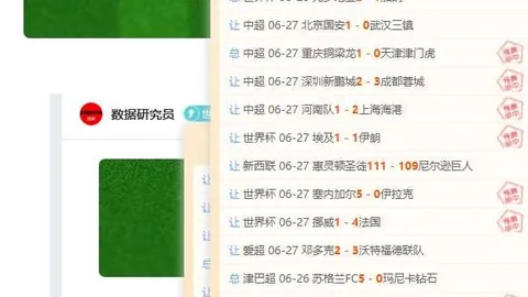 新西兰足球深度解析详解联赛强队战绩，全面比分与胜负分析